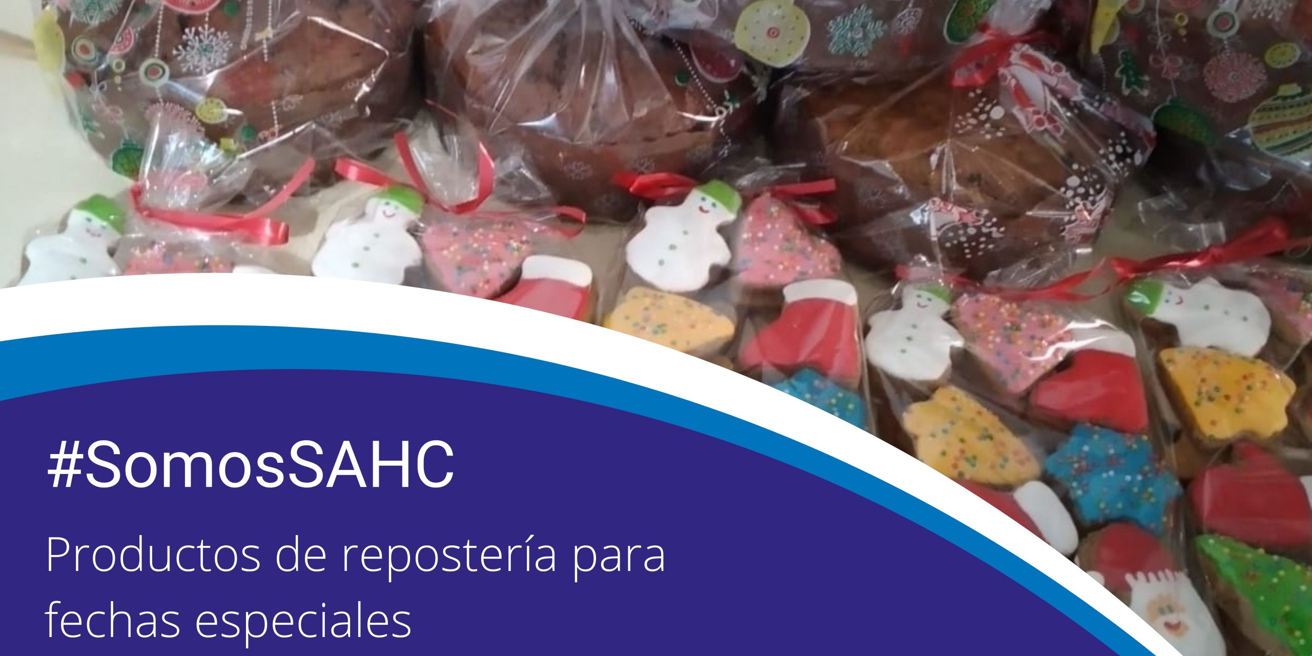 Lee más sobre el artículo Momentos especiales cargados de dulzura y dedicación