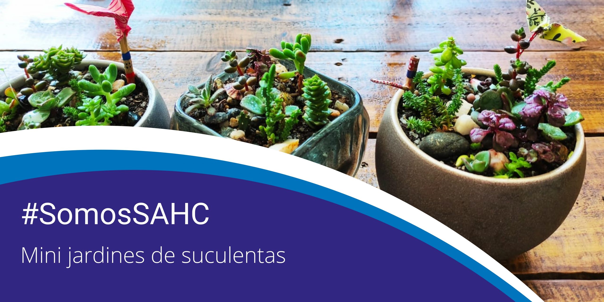 Lee más sobre el artículo Verde que TQM